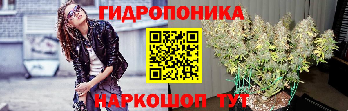 Канабис SATIVA & INDICA  Конопля AK-47  Вход с VPN  МАРИХУАНА тримм  Балаково 